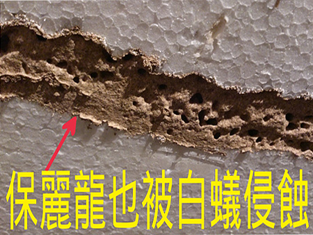  居家危害3