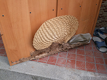  居家危害1